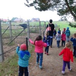 wycieczka-przedszkola-do-strusiej-farmy