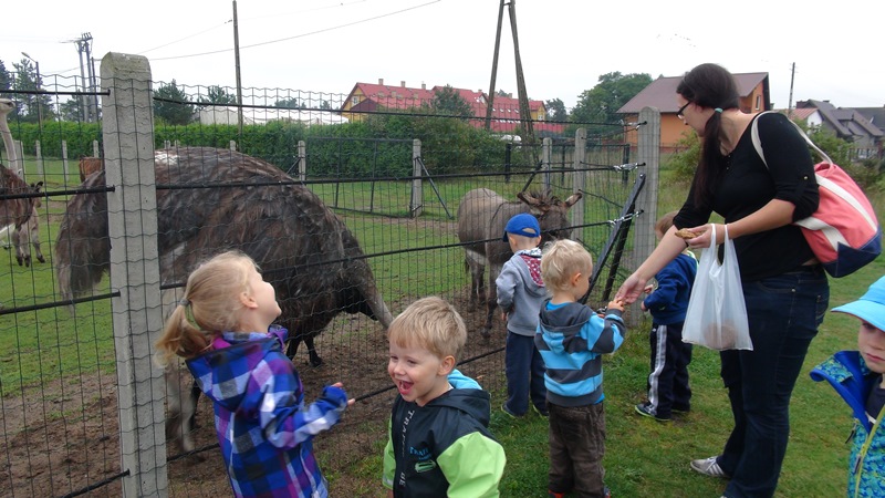 wycieczka-przedszkola-do-strusiej-farmy