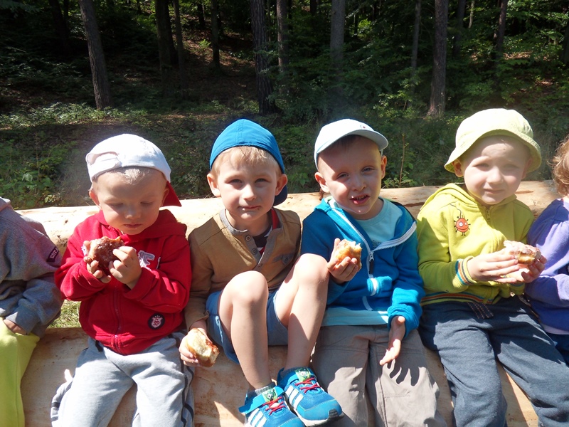 piknik przedszkole demptowo