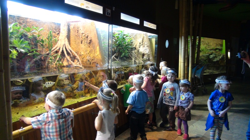 wycieczka do oceanarium w gdyni