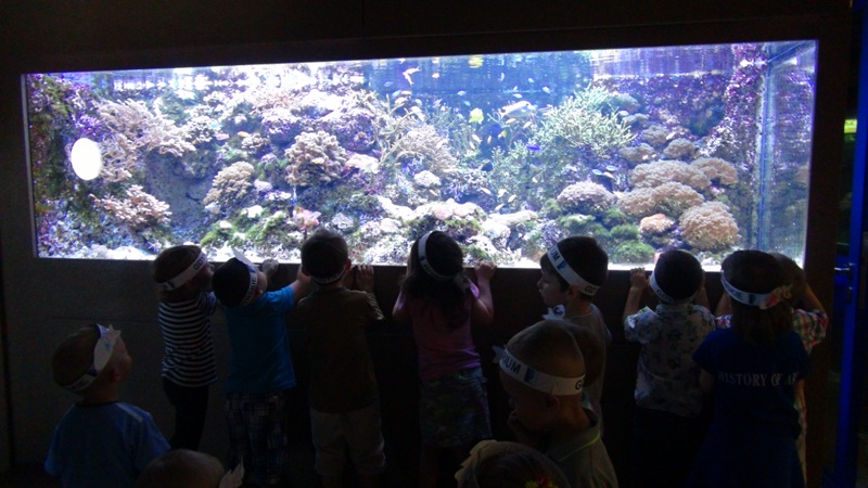 wycieczka do oceanarium w gdyni