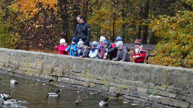 przedszkole park oliwski