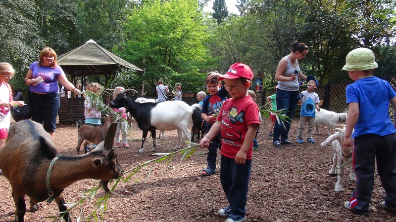 wycieczka na starowke i do zoo