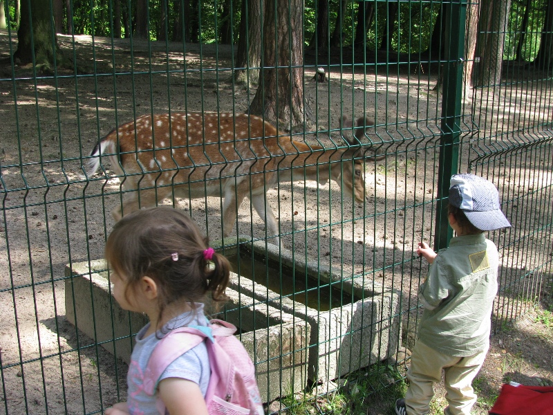 Wycieczka do ZOO