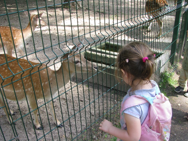 Wycieczka do ZOO