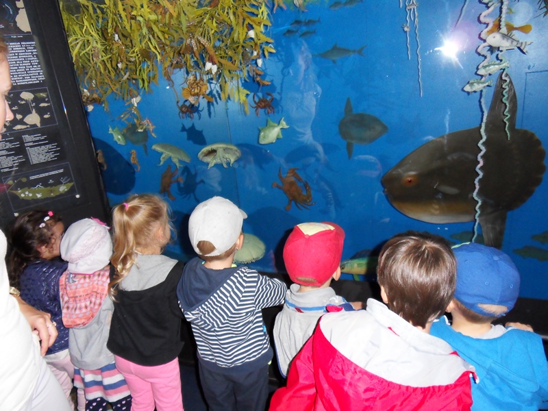 wycieczka-przedszkola-do-oceanarium