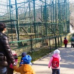 zielone lekcje wizyta w zoo przedszkole gdynia