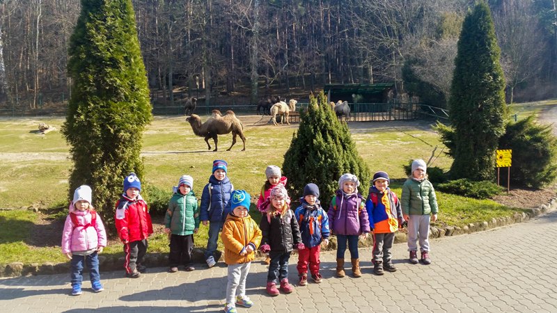 zielone lekcje wizyta w zoo przedszkole gdynia